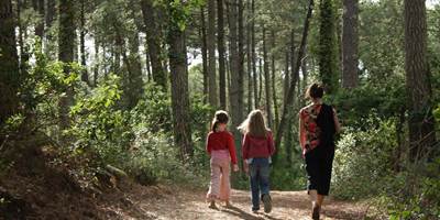 Chemin en forêt Moliets Arewen-around