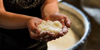 laurent dufour1244-around