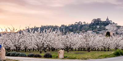 bonnieux-en-fleur-around