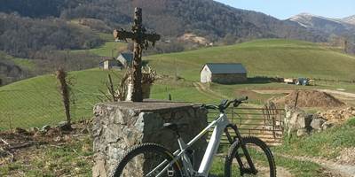 IMG-20260305-WA0005