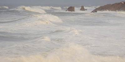 a30a55d4-1a99-46db-8267-17e664f1d774-around