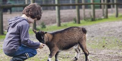 b3abe483-979b-4f45-b935-305107fd3f4f-around