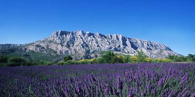 La Montagne Sainte-Victoire-around
