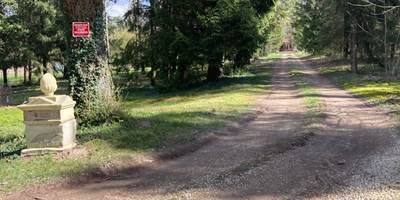 accès Allée Forest House Renardière-presta