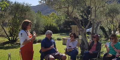 degustation-exterieur-around