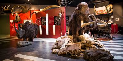 230164377_4184896881577590_8841886109253896169_n-around