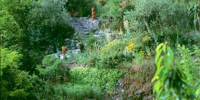 8.visite.jardin.sambucs.aigoual.cevennes.nature-around