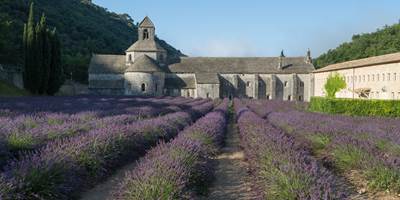 528370595 (1)-around