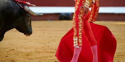 154771961 (1)-around