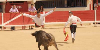 fb538124-013c-4983-9591-cc24b5664348-around