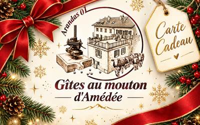 carte-cadeau.jpg