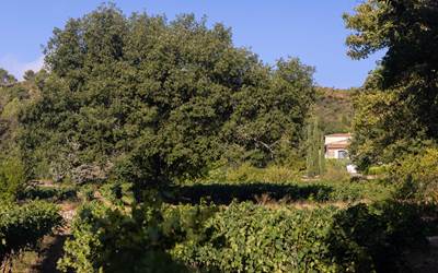 Bastide-de-Fave-HD-006.jpg