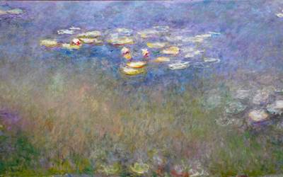 water-lilies-agapanthus-presta