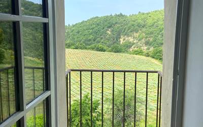 Mini-balcon de la chambre avec vue vers le champ de lavandes-presta