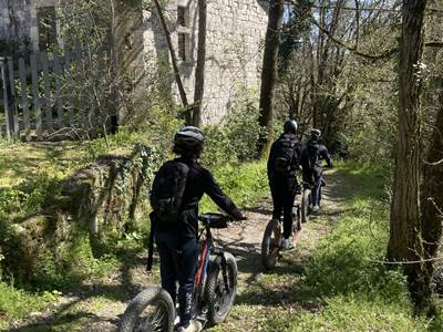 les templiers