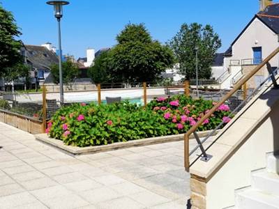 Abords piscine