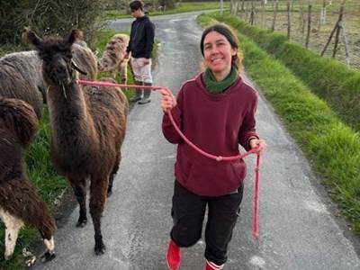 Prendre le temps de découvrir son lama ou alpaga