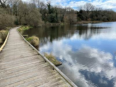 Pont Brech 4