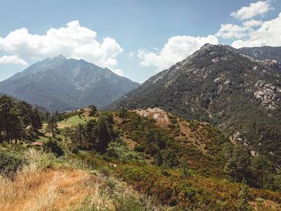 photo1651415830640fad8d97297e1-photo-around