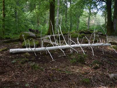 Embaumement 43°05'51.0N 0°04'56.0W, Lorène Roustin, 2022 @ADAGP Paris (2)