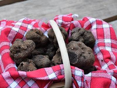 Panier de truffes Lot Tourisme-Christiane Roques 120221-145827