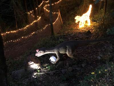 Les Mazets du Rouret - Dinopédia Parc