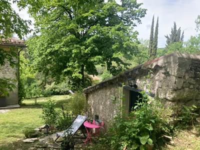 La Cabane et le tilleul