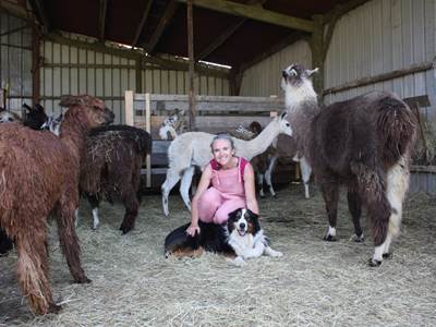 Visiter une ferme de lamas à Saint-Aignan