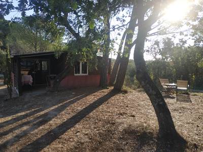 Bois de Santal 1 (1)