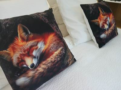 "Le Loft du Renard " endormi
