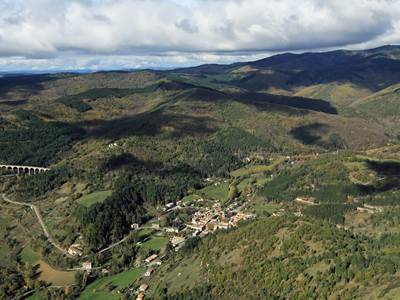 15177_Alzon_071113
