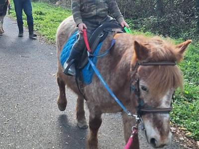 Promenade sur la voie verte