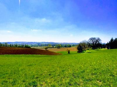 Campagne gersoise à la Cordillière