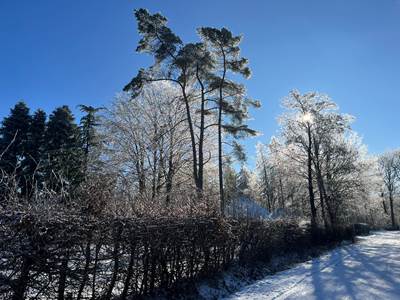 Sous la neige