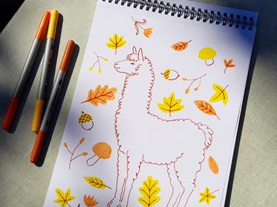 Mon alpaga d'automne