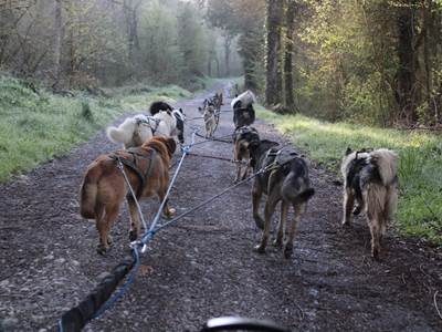 Baptême en Cani-Kart