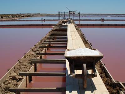 50481236-a60e-4e1f-9792-3c87d0b7256f-photo-around