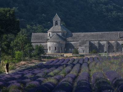 Abbaye de Sénanque-photo-around