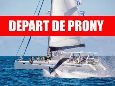 Baleine de´part de prony-presta