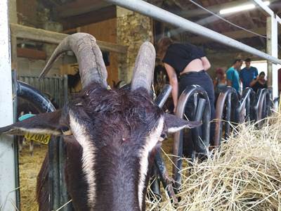 Périgord Inattendu, Accueil à la Ferme