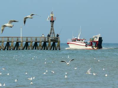 134130890-photo-around