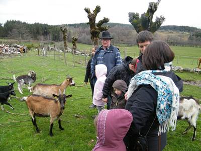 La famille en plein travail