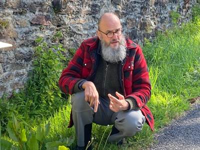 Goûteuses mauvaises herbes 2