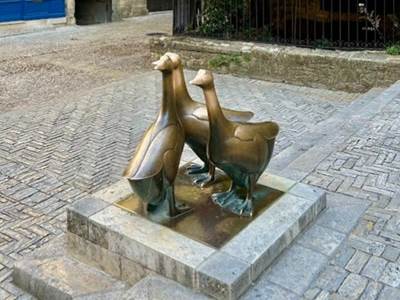#sarlat #perigord #dordogne #sarlattourisme #sudouest #visiteguidee #baladesguideesdecamille #tourisme #patrimoine #histoire #anecdotes #gastronomie #france #dordogneperigordtourisme #visitfrance #visitdordogne #perigordnoir