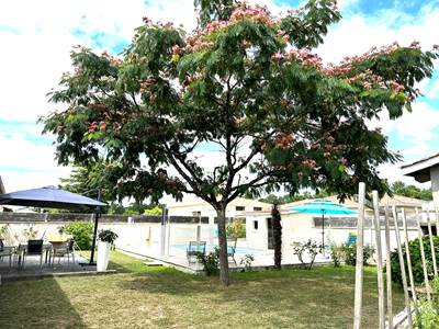 jardin-terrasse-piscine-mas-des-anges_arbre-ombrage_soussans-margaux_cyclotouriste-famille_calme_coin-détente_table-banc.jpg