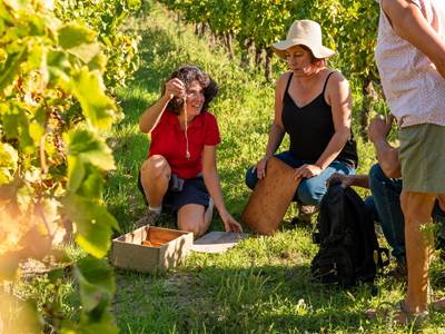 026 - Inter Rhone - Domaine des Gravennes - Jeff Habourdin Photographe - _R623520
