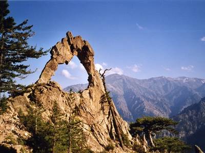 arche de corte-photo-around