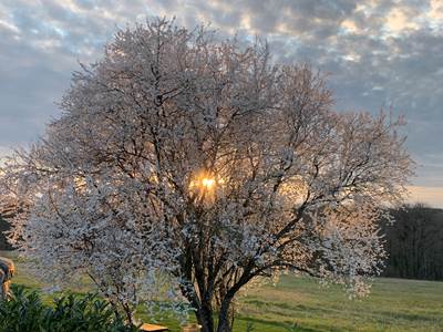 Coucher de soleil