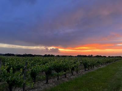 Le nid du coucou - vue chambres d'hôtes