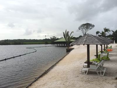 La Mangrove